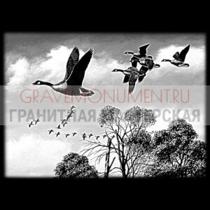 Пейзаж на памятник ГП 0009