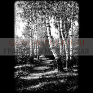 Пейзаж на памятник ГП 0024