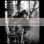 Пейзаж на памятник ГП 0037