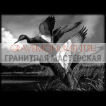 Пейзаж на памятник ГП 0040