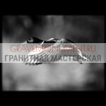 Пейзаж на памятник ГП 0044