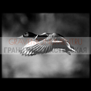 Пейзаж на памятник ГП 0044