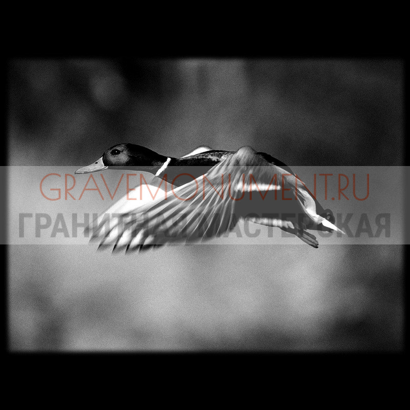 Художественная гравировка пейзаж на памятник Пейзаж на памятник ГП 0044
