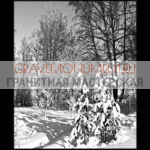 Пейзаж на памятник ГП 0066