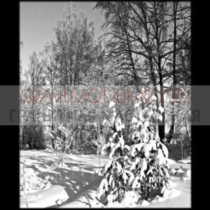 Пейзаж на памятник ГП 0066