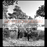 Пейзаж на памятник ГП 0083