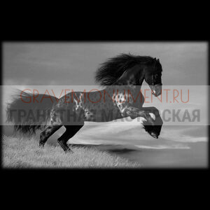 Пейзаж на памятник ГП 0196