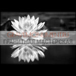Пейзаж на памятник ГП 0220
