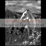 Пейзаж на памятник ГП 0291
