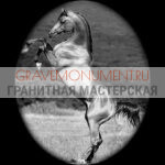 Пейзаж на памятник ГП 0297