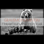 Пейзаж на памятник ГП 0302