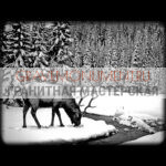 Пейзаж на памятник ГП 0442