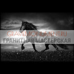 Пейзаж на памятник ГП 0665