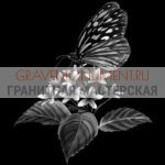 Животные на памятниках ГЖ 0004