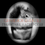 Животные на памятниках ГЖ 0011