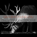 Животные на памятниках ГЖ 0021
