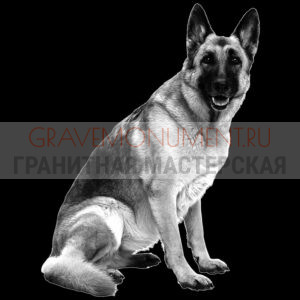 Животные на памятниках ГЖ 0042