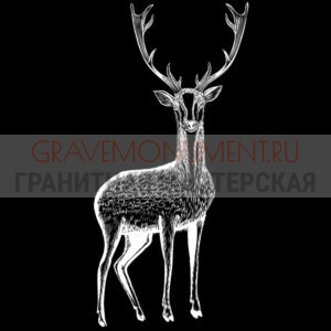 Животные на памятниках ГЖ 0045