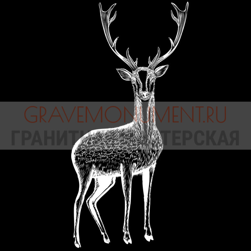 gravemonument.ru Животные на памятниках ГЖ 0045