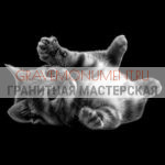 Животные на памятниках ГЖ 0048