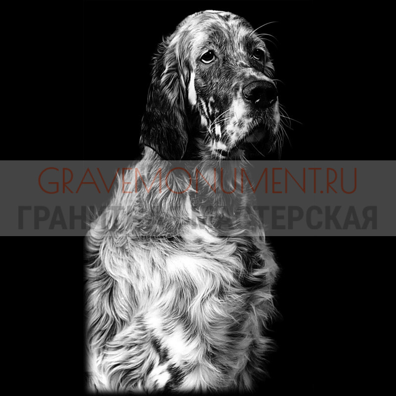 gravemonument.ru Животные на памятниках ГЖ 0055